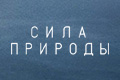 ���� �������