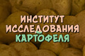 �������� ������������ ���������