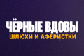 ׸���� �����: ����� � ���������
